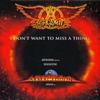 Aerosmith - I Don't Want To Miss A Thing