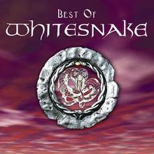 Whitesnake - Fool For Your Loving