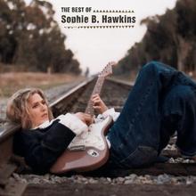 Sophie B Hawkins - Damn I Wish I Was Your Lover