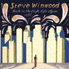 Steve Winwood - Back In The High Life Again