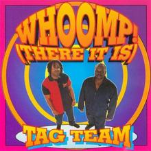 Tag Team - Whoomp! (There It Is)