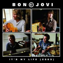 Bon Jovi - It's My Life (Acoustic)
