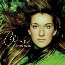 Celine Dion - That's The Way It Is