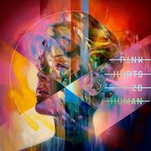 Pink feat. Cash Cash - Can We Pretend